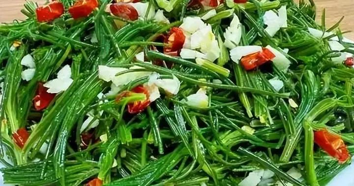 這菜正當時，可惜好多人當草！鮮嫩美味，不懂喫真可惜！