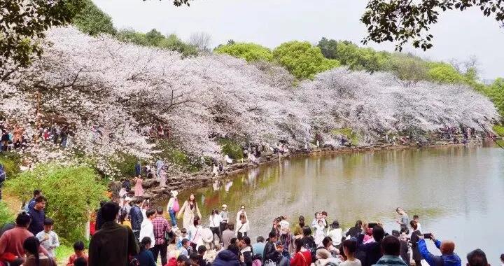 湖南省植物園曬出免票成績單