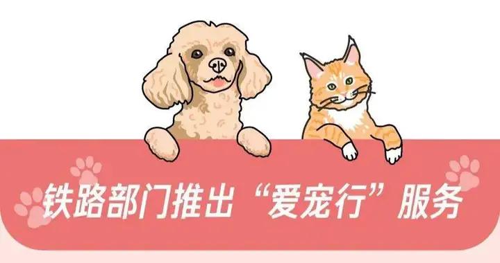 今起實行！高鐵寵物託運進一步優化