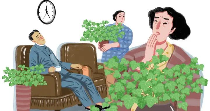 故事 · 典藏 | 藤纏樹