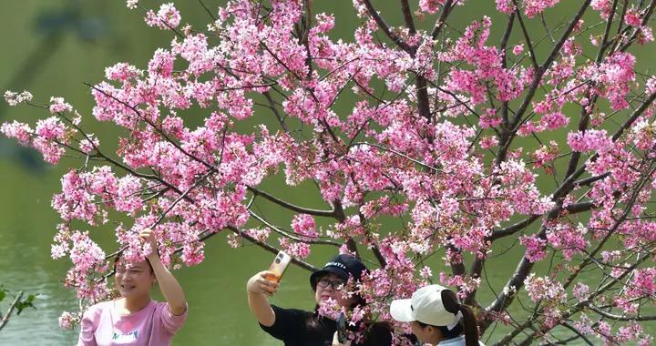 暢遊廣西“三月三”！景區優惠措施一覽！