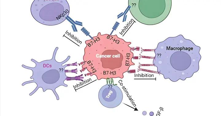 同樣是靶向藥，爲啥有的治癌有的治流感？關鍵在靶點！一文理清