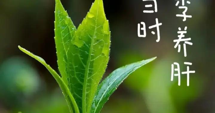 春季養肝，5個小妙招給你，呵護肝臟，趕走煩躁，一年身體健康！