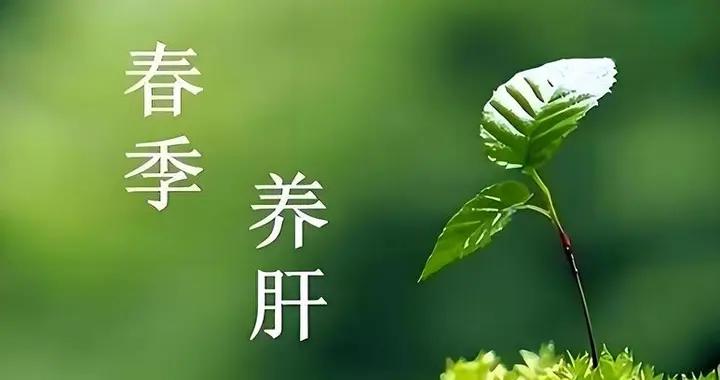 百病不離肝！春季對肝臟好的4種食物，一週喫2次，養肝護肝別錯過