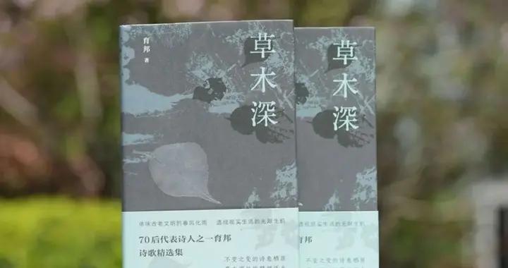 對着草木山水，對着黑夜，沉潛一首詩|育邦《草木深》研討會南京舉行