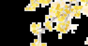 嶺南常見四種體質對應靚湯推薦