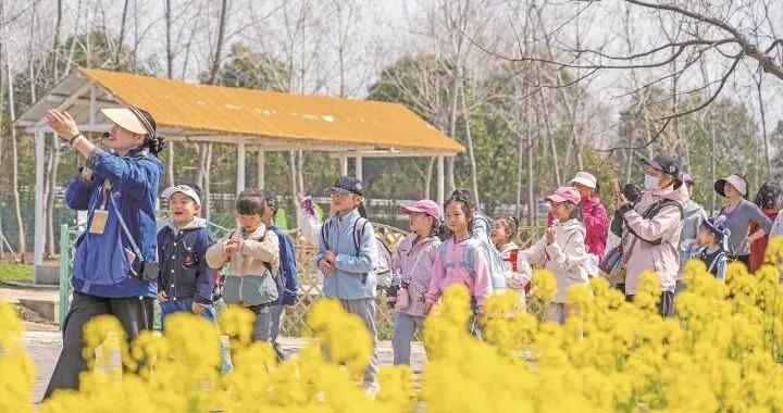 江蘇讓孩子 “玩中學、學中悟”