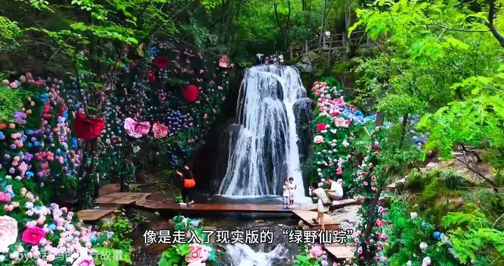 洛陽欒川重渡溝風景區遊玩攻略，感受現實版的花海祕境和綠...