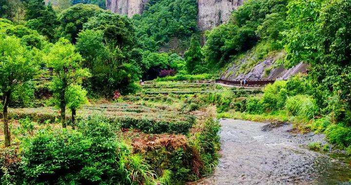 雁蕩山是看不夠的