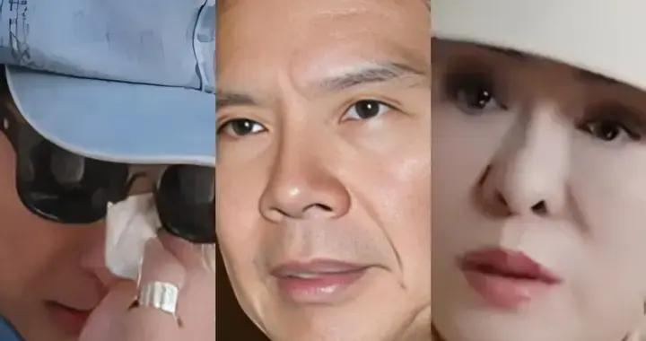 被曝與向華強分房十多年後，向太陳嵐不再隱瞞，孩子成了她的遺憾