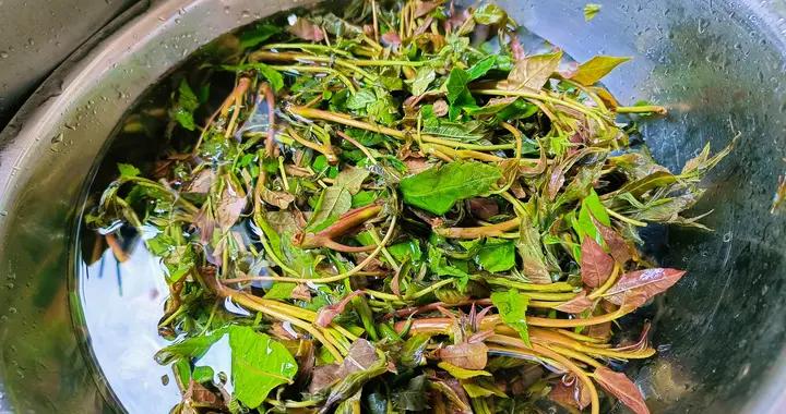 春天，建議女人常喫3樣家常食材，補充雌激素，皮膚光滑氣色好