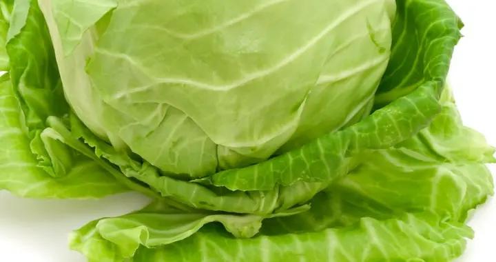 老話“三月包菜賽人蔘”，中老年要多喫，口感好營養好，寓意也佳