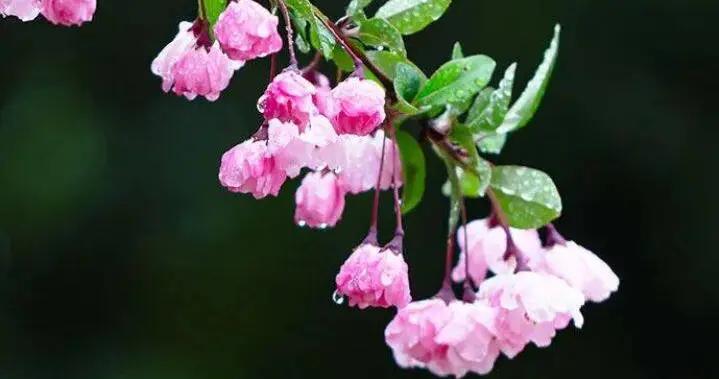 穀雨邀約：盡情出來玩兒吧！