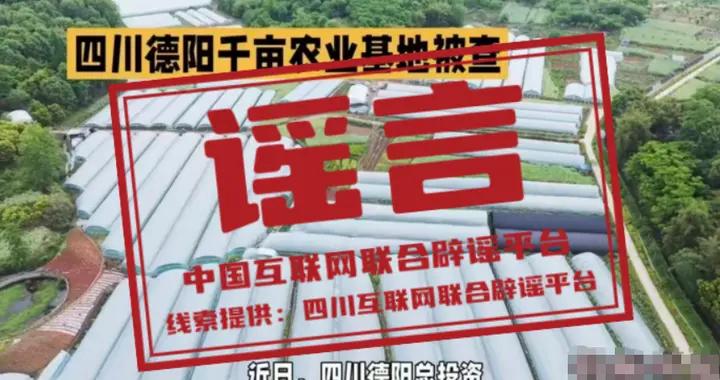 藍莓不是消炎藥，“水果食療”須避坑（2026·04·17）