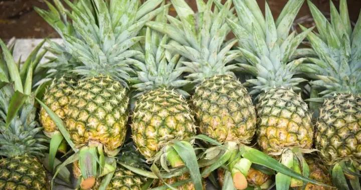 它大量上市，解膩又解乏