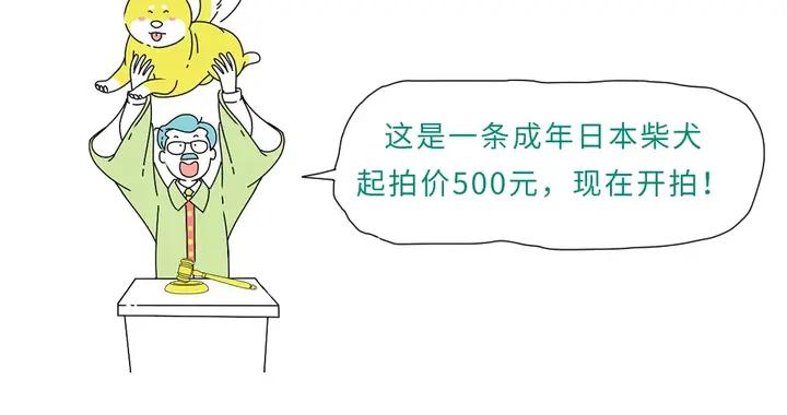 法院裏賣的東西，有多離譜？？？