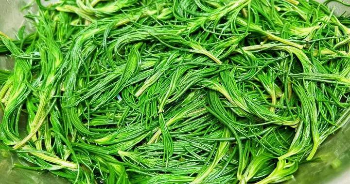 4月這菜抓緊喫！鮮嫩正當季，隨手一拌真香，可惜很多人當草！