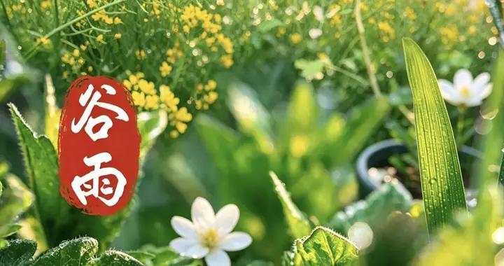 明日穀雨，牢記：喫3樣，3不喫，順應時節，平安度季節交替