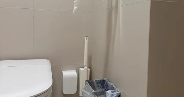廁紙就該丟馬桶直接沖走，不是誤導是真省事，拒絕“異味小飛蟲”