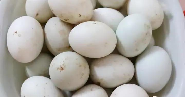 我媽醃了30年的鹹鴨蛋，加1樣東西，7天就沙糯流油，比買的還香