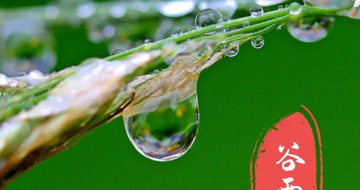 “穀雨不排毒，夏天身體堵”，今天穀雨，記得喫4樣“排毒”菜