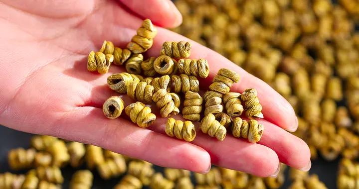 霍山鐵皮石斛品牌測評，十個優質國貨品牌，多維度評估實力