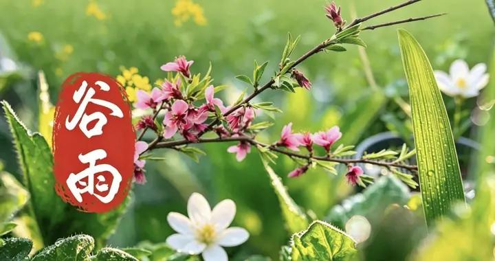“穀雨不排毒，夏天身體堵”，今日穀雨，4樣“排毒”菜記得喫