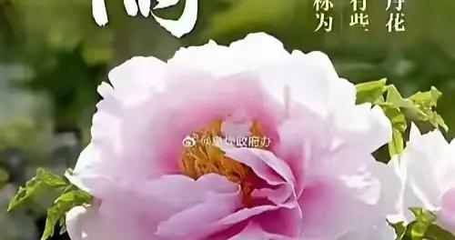 沁園春·穀雨節吟