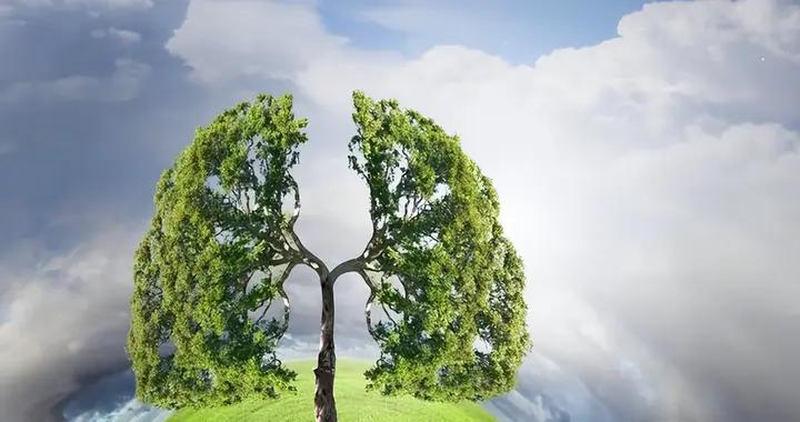 對肺特別好的食物，隔三天一次，殺菌消炎，養肺潤肺，給肺大掃除