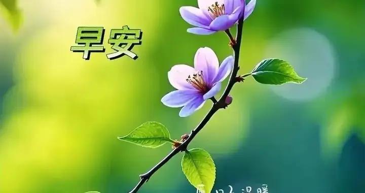 今天早安，早上好圖片精選~清晨裝滿我所有的祝福送給你！