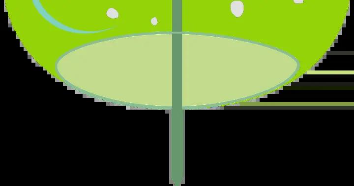 溫經止血、散寒止痛的“綠色衛士”