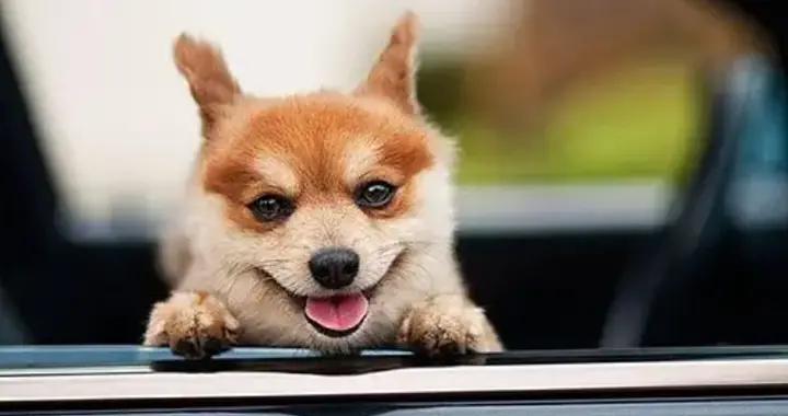 最新爆笑幽默笑話，個個讓人捧腹大笑，笑到抽筋笑到眼淚流，笑死