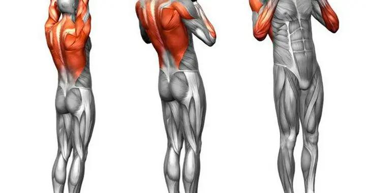 引體向上，纔是真正的“動作之王”！堅持引體，這些好處會找上你