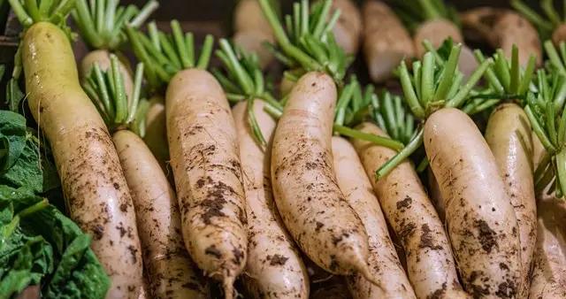 冬日“養肺高手”：2毛1斤的寶藏菜，遇見別錯過，曬乾儲存超下飯