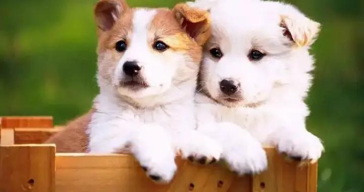 笑破肚子的爆笑幽默笑話，讓你哈哈一笑，2026年所有煩惱全部消掉