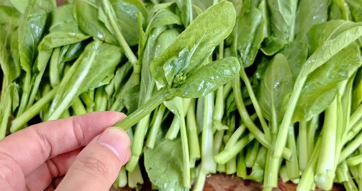 2月到了，蘿蔔白菜靠邊站，嚐嚐這4種“黃金菜”，營養好喫還不貴