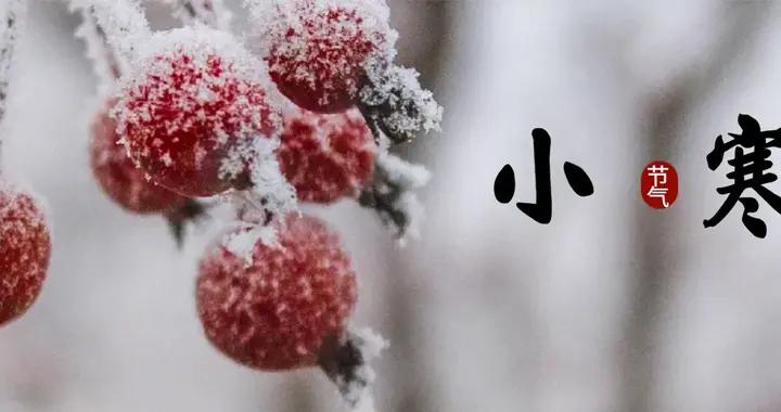 小寒後，少喫土豆白菜，多喫4種“冠軍菜”，補足營養，安穩過冬