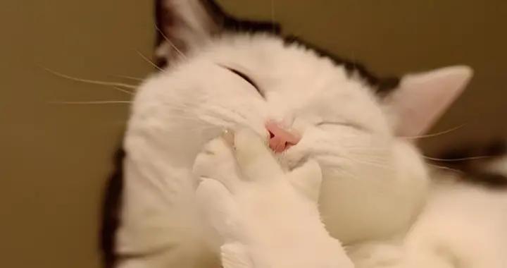 最上頭的12個爆笑幽默笑話，笑到拍桌！笑着笑着鼻涕泡就出來了