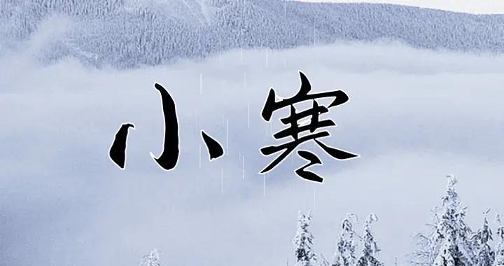 今日小寒｜千林掛瓊寒初峭，野梅含笑始見紅