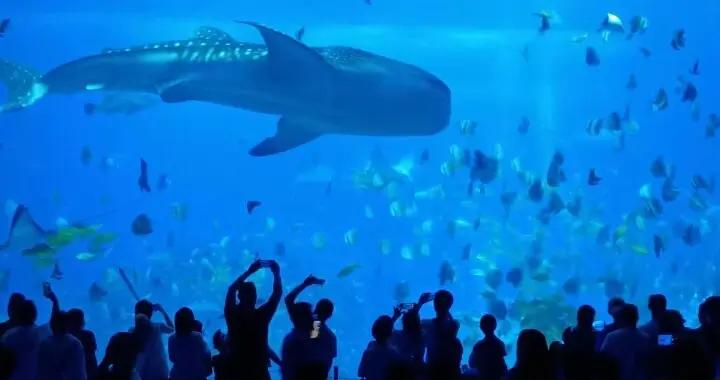 粵式海洋樂園 “粵”來“粵”叻