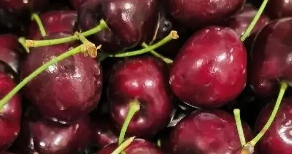 車釐子含褪黑素能助眠？專家回應