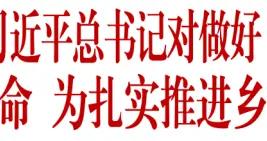 國務院國資委黨委傳達學習習近平總書記對做好“三農”工作作出的重要指示
