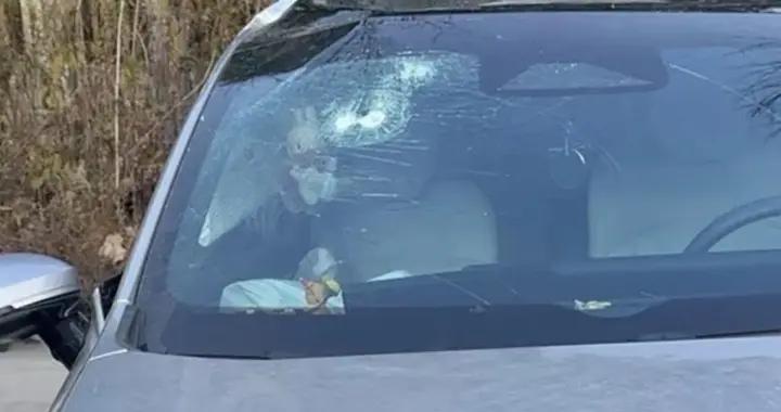 今天起，不要在車裏放小玩偶了！