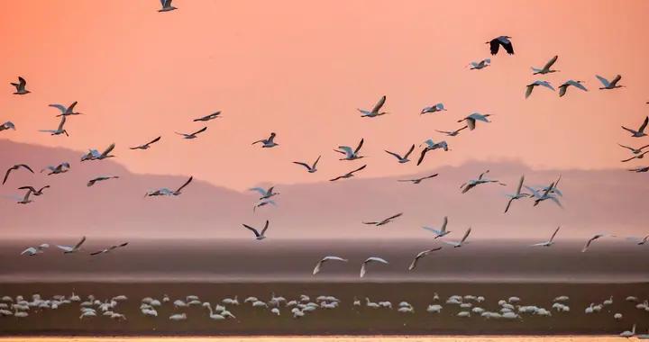 味厚情長話小寒