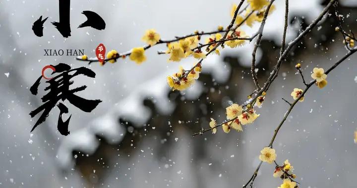 “小寒4不喫，喫了冬難安”，1月5號小寒，哪4不喫？應時節樂過冬