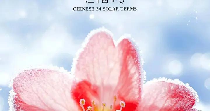 二十四節氣｜小寒