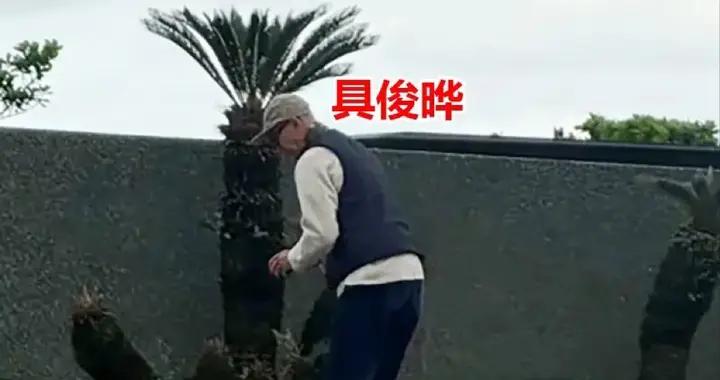 具俊曄元旦守着大S，俯身擦拭墓碑很憔悴，忙得連摺疊椅都沒打開
