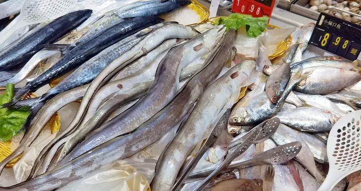 這魚再貴也要喫，健腦護眼強免疫，肉厚刺少營養高，冬季別錯過！