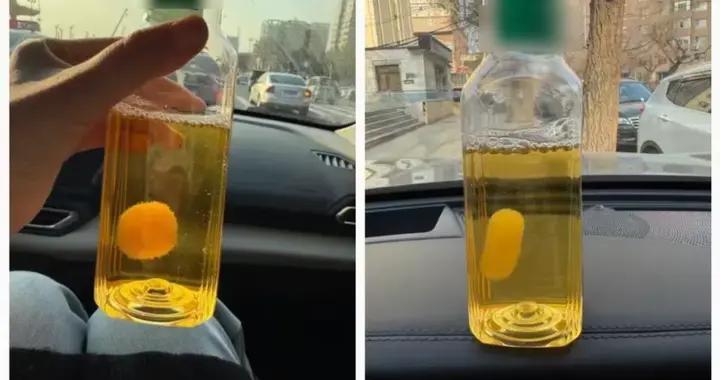 讓年輕人集體上頭的“茶菌球”，到底什麼來頭？勸你千萬不要試