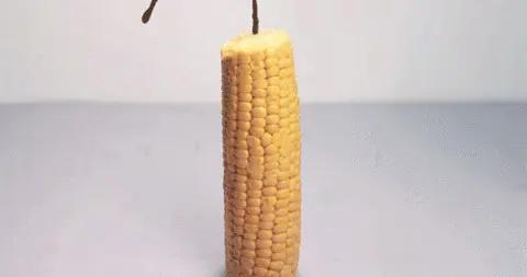 爲什麼小時候崩的爆米花，和影院裏的爆米花長得不一樣？